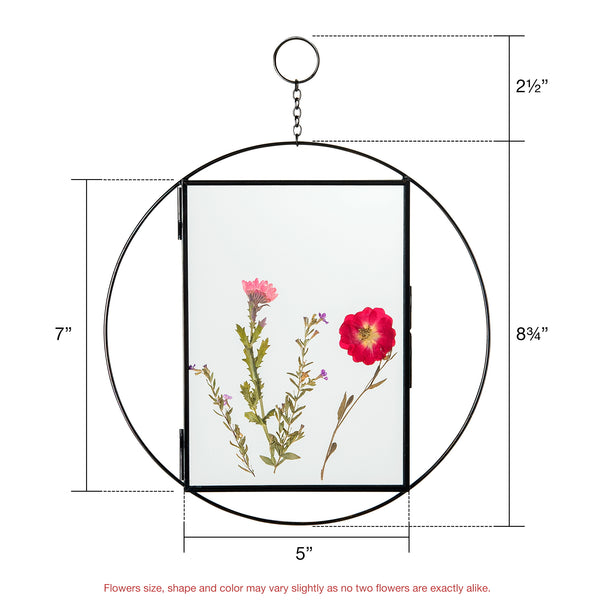 Rainbows & Lilies Hanging Glass Frame with Pressed Flowers Dimensions